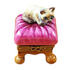 Cat on Pink Pillow