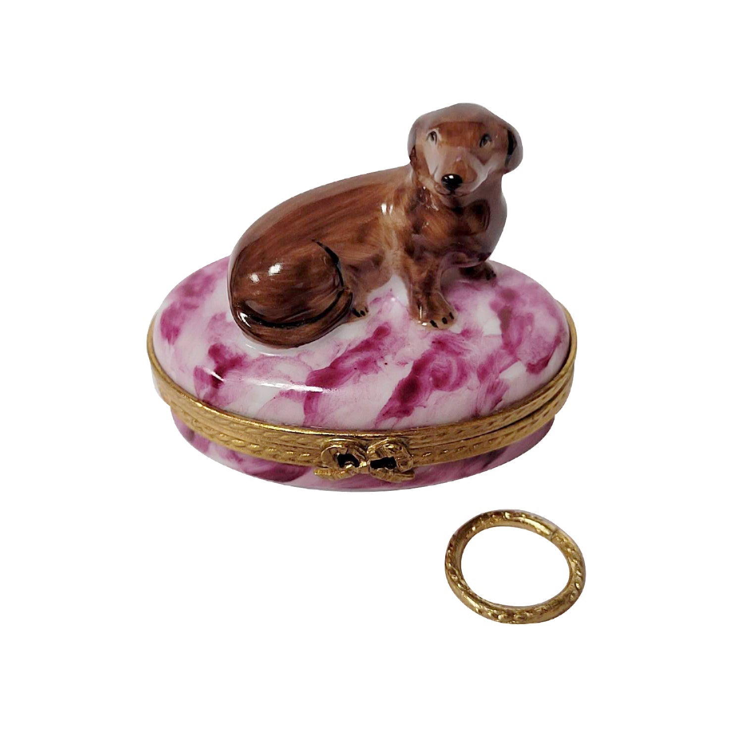 Dachshund with Removable Brass Dog Collar