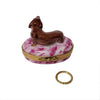 Dachshund with Removable Brass Dog Collar