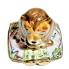 Dog Outside Relax Reading Limoges Box Figurine - Limoges Box Boutique