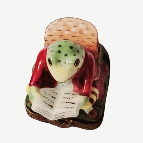 Frog Reading on Chair