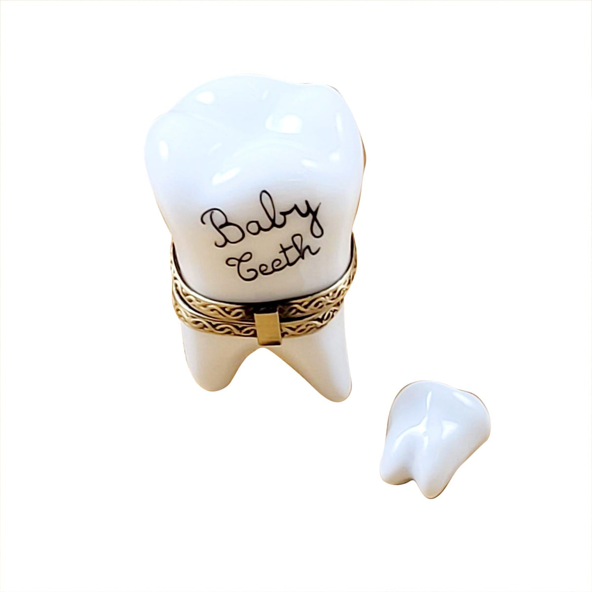Large White Baby Tooth with Removable Tooth