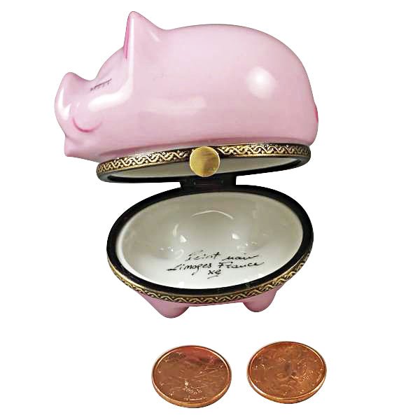 Piggy Bank with Removable Coins