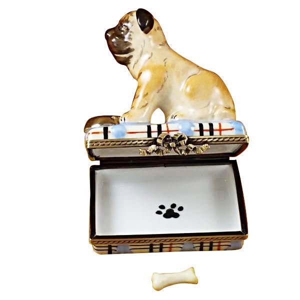 Adorable pug dog playing with a spilt water and removable bone toy