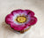 Purple Flower Pansy Rochard Rare
