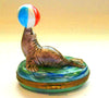 Seal With Beach Ball Fish