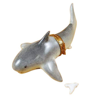 Shark with Removable Tooth