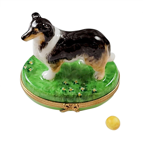 Sheltie with Removable Ball