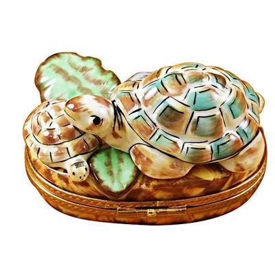 Turtle Family, perfect for adding a touch of whimsy to any decor