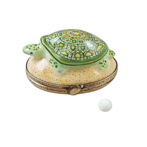 Turtle on Sand with Removable Egg