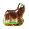 Yorkshire Terrier Green Base Limoges Box - Limoges Box Boutique